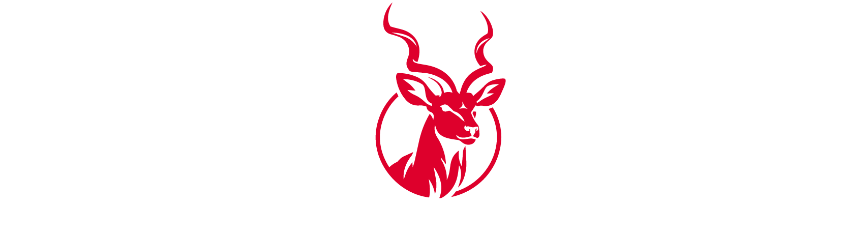 Bushmag logo