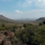 Conservation