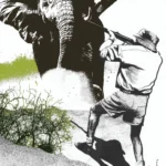 Elephant hunting