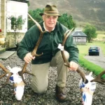 Stag in Scotland