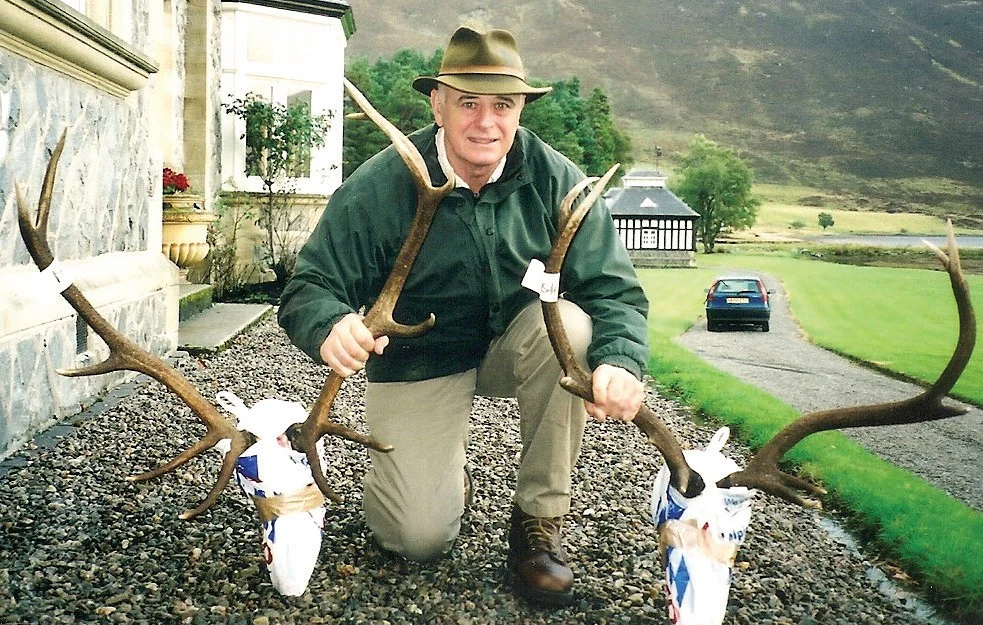 Stag in Scotland