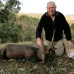 blesbuck