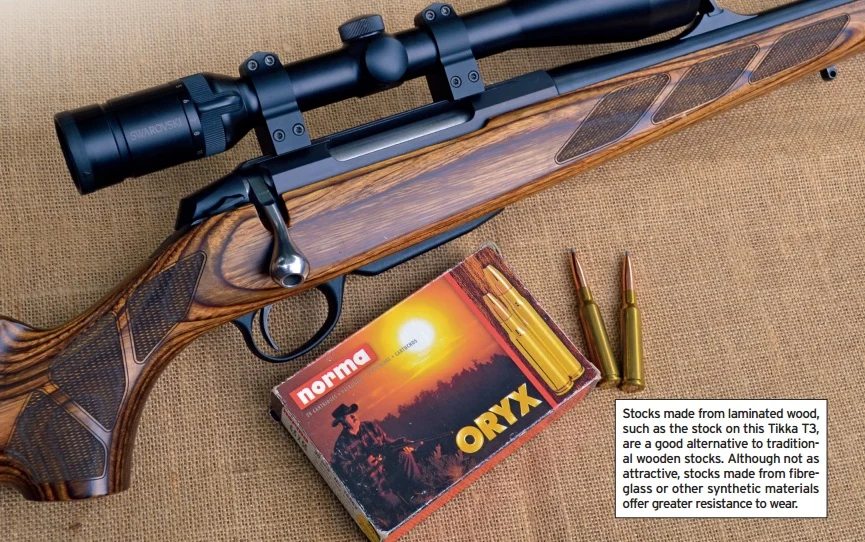 buying your first hunting rifle