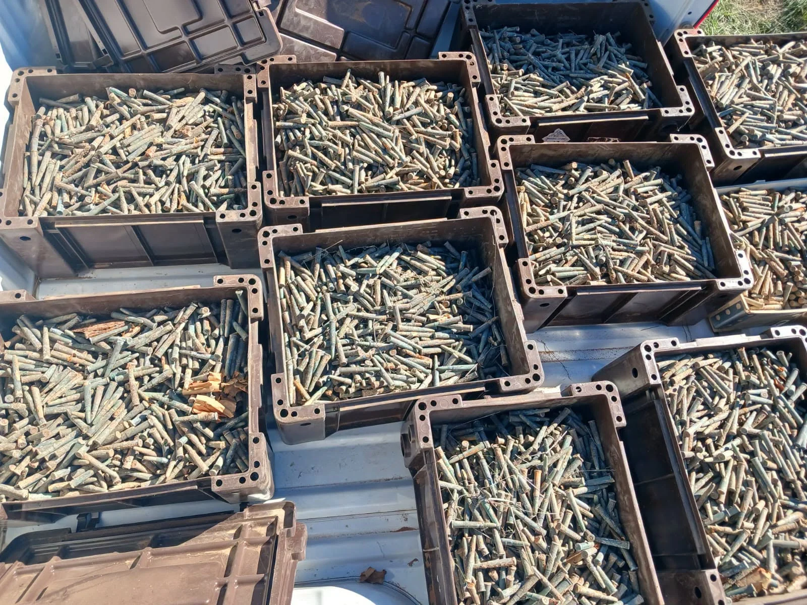 ammunition