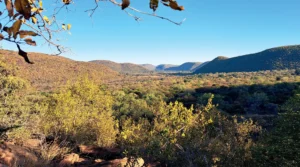 Waterberg